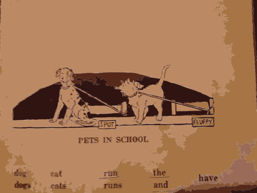 Haustiere in Schule-Vektor-Bild